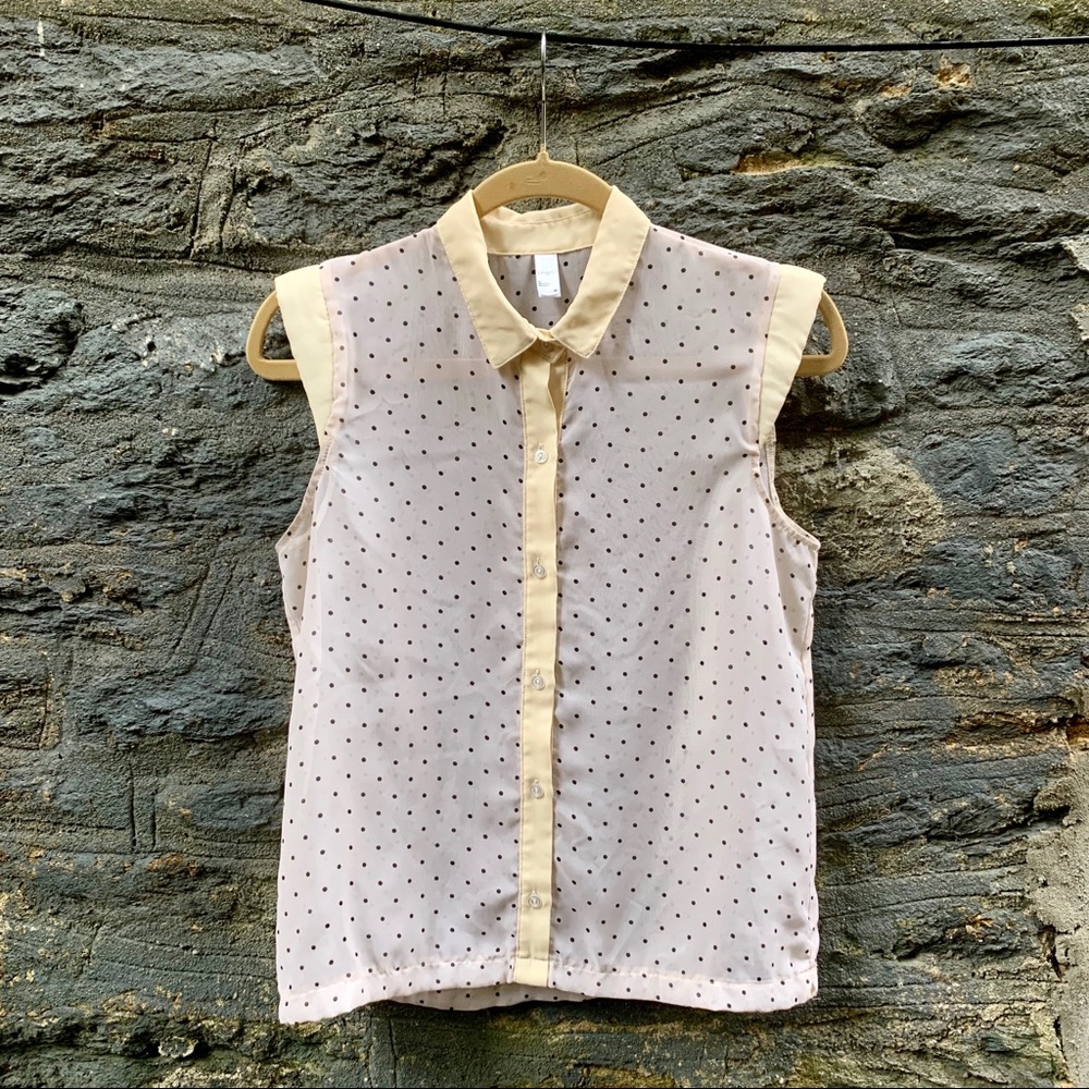 American Apparel | Chiffon Button Up Blouse